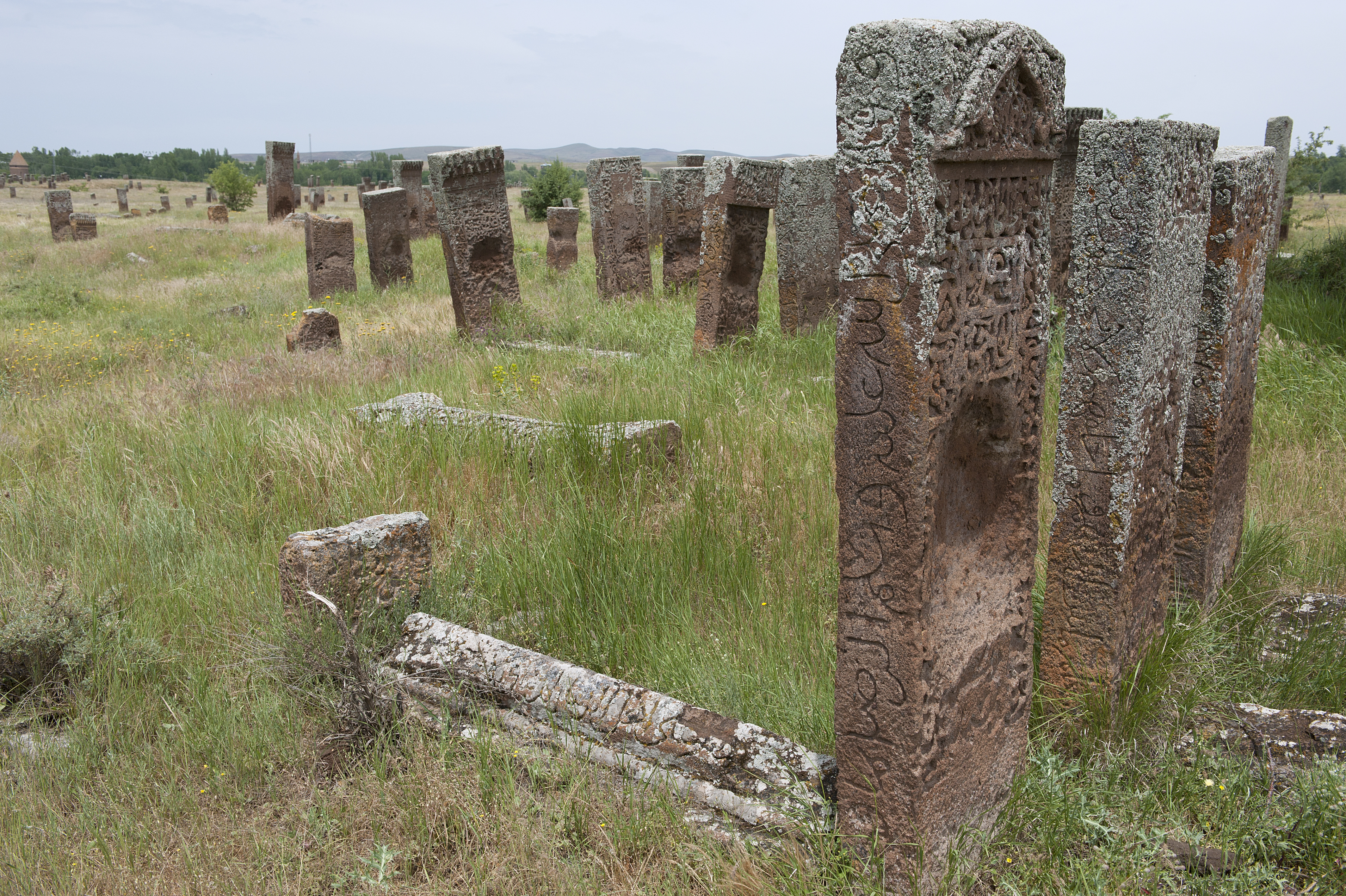 Ahlat Selçuklu Meydan Mezarlığı abidevî mezar taşları ve uzakta kümbetler